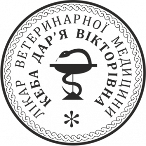 ОБРАЗЕЦ 404 (D22)